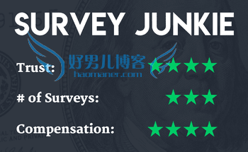 Survey Junkie