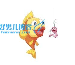 4p是什么意思