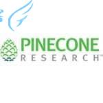 Pinecone