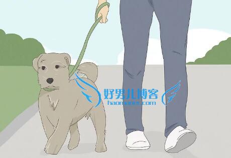 最挣钱没人干的行业