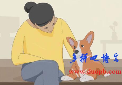 快速赚钱门路